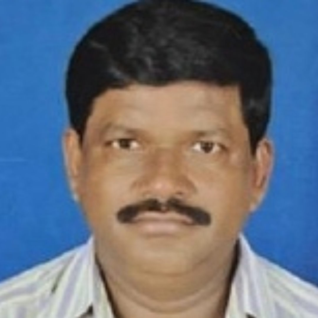 Mr. Balasamy Pamisetty